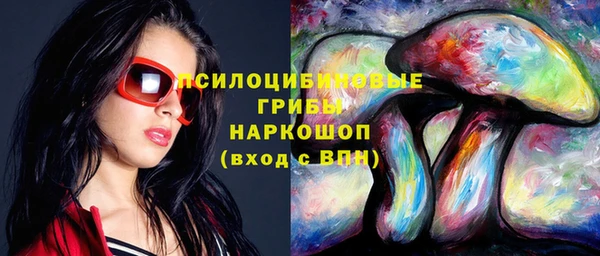 мдпв Володарск