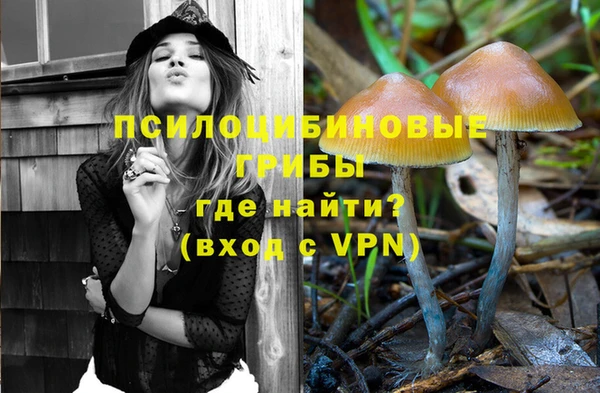 а пвп мука Бородино